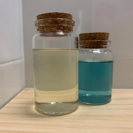 Homestay Casa Nova Velha