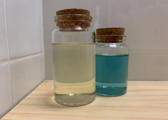 Séjour chez l'habitant Casa Nova Velha